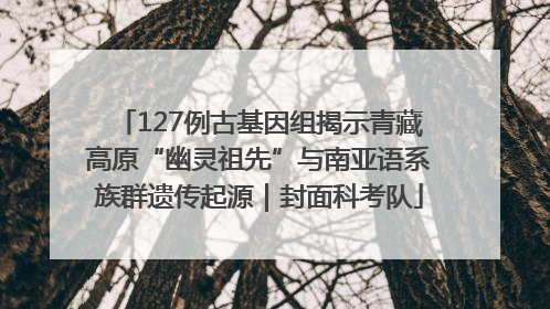 127例古基因组揭示青藏高原“幽灵祖先”与南亚语系族群遗传起源｜封面科考队
