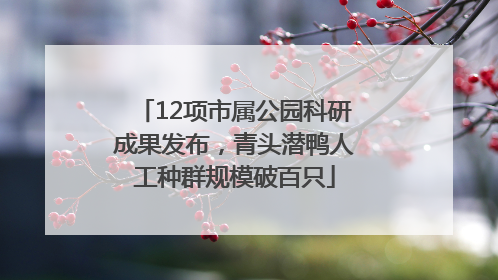 12项市属公园科研成果发布，青头潜鸭人工种群规模破百只
