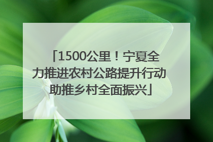 1500公里！宁夏全力推进农村公路提升行动 助推乡村全面振兴