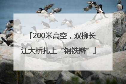 200米高空，双柳长江大桥扎上“钢铁辫”