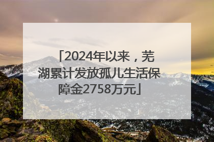 2024年以来，芜湖累计发放孤儿生活保障金2758万元
