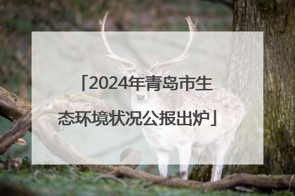 2024年青岛市生态环境状况公报出炉