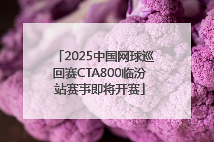 2025中国网球巡回赛CTA800临汾站赛事即将开赛