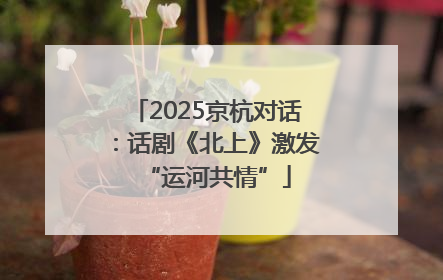 2025京杭对话：话剧《北上》激发“运河共情”