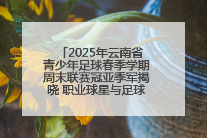 2025年云南省青少年足球春季学期周末联赛冠亚季军揭晓 职业球星与足球小将共享荣耀时刻