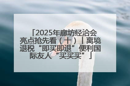 2025年廊坊经洽会亮点抢先看（十）丨离境退税“即买即退”便利国际友人“买买买”