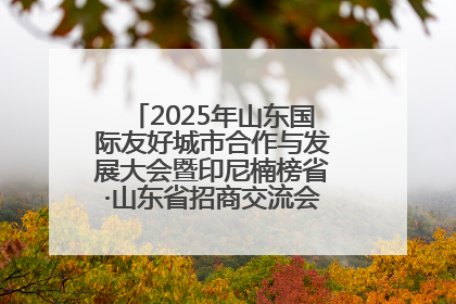 2025年山东国际友好城市合作与发展大会暨印尼楠榜省·山东省招商交流会在济南槐荫举行