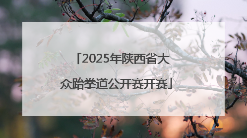 2025年陕西省大众跆拳道公开赛开赛