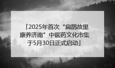 2025年首次“扁鹊故里 康养济南”中医药文化市集于5月30日正式启动