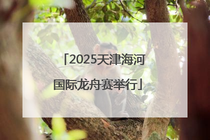 2025天津海河国际龙舟赛举行