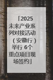 2025未来产业系列对接活动（安徽行）举行 6个重点项目现场签约