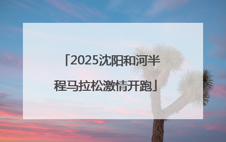 2025沈阳和河半程马拉松激情开跑