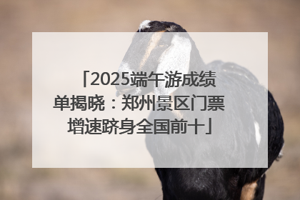 2025端午游成绩单揭晓：郑州景区门票增速跻身全国前十