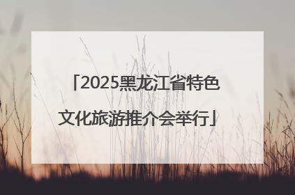 2025黑龙江省特色文化旅游推介会举行