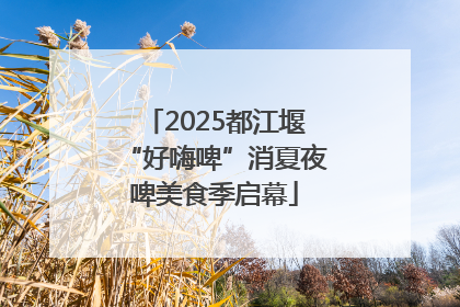 2025都江堰“好嗨啤”消夏夜啤美食季启幕