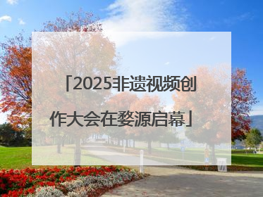 2025非遗视频创作大会在婺源启幕