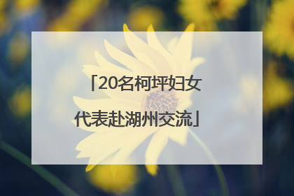 20名柯坪妇女代表赴湖州交流