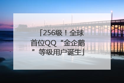 256级！全球首位QQ“金企鹅”等级用户诞生