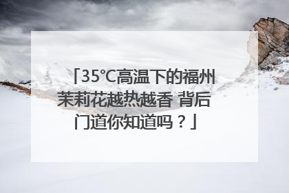 35℃高温下的福州茉莉花越热越香 背后门道你知道吗？