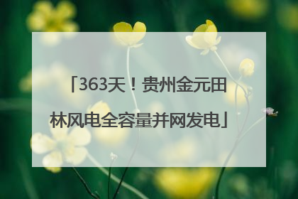 363天！贵州金元田林风电全容量并网发电