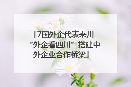 7国外企代表来川 “外企看四川”搭建中外企业合作桥梁