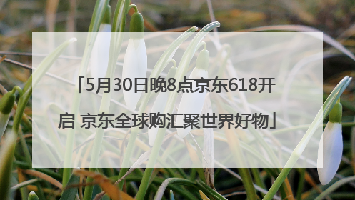 5月30日晚8点京东618开启 京东全球购汇聚世界好物