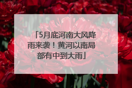 5月底河南大风降雨来袭！黄河以南局部有中到大雨