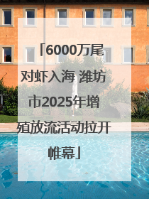 6000万尾对虾入海 潍坊市2025年增殖放流活动拉开帷幕