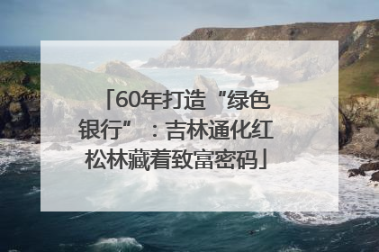 60年打造“绿色银行”：吉林通化红松林藏着致富密码