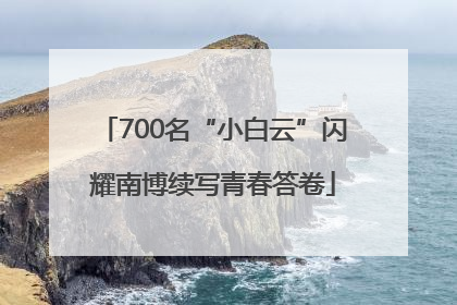 700名“小白云”闪耀南博续写青春答卷