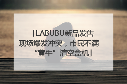 LABUBU新品发售现场爆发冲突，市民不满“黄牛”清空盒机