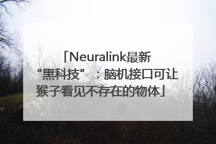 Neuralink最新“黑科技”：脑机接口可让猴子看见不存在的物体